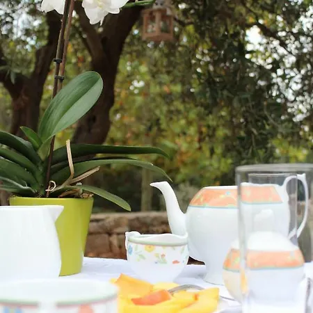 بيت ضيافة Il Giardino Del Melograno
